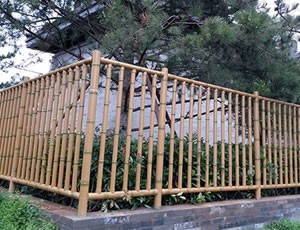 91香蕉污污视频下载篱笆 91香蕉污污视频下载篱笆