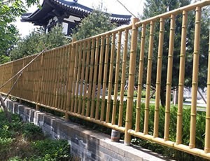91香蕉污污视频下载黄色护栏 91香蕉污污视频下载黄色护栏